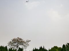 -嘉定紫藤园