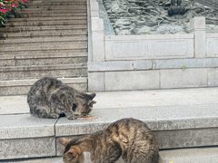 -宝通禅寺