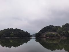 -广州市石门国家森林公园