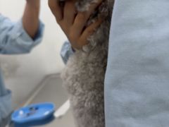 -汪喵宠物医院·骨科心脏影像·犬猫急重症ICU诊疗中心(成华分院)