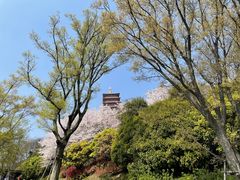 -牛首山文化旅游区