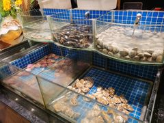 -钱小奴创意自助餐厅·原切谷饲安格斯畅吃(绍兴新昌万达店)
