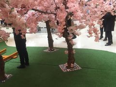 -远大购物中心(南岗店)