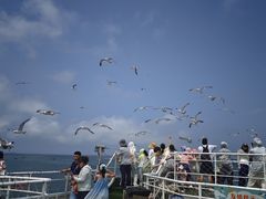 -海驴岛(荣成市)