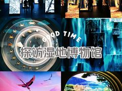 -中国湿地博物馆