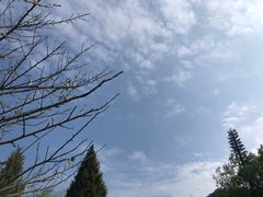 -黄陂区野村谷景区