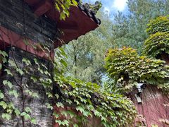 -淄博聊斋城景区