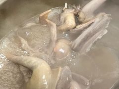 -石岐鸽师傅餐厅(石岐总店)