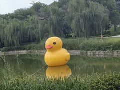 -渭滨公园