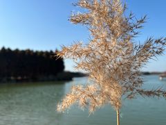 -苏州太湖国家湿地公园