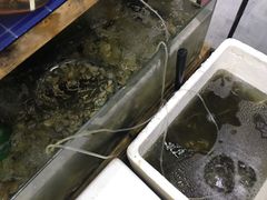 -阿杰臻选海鲜饭店(普陀山店)