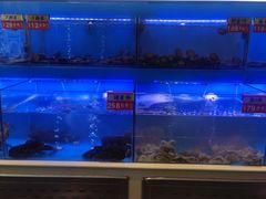 水产区-四合院海鲜小厨(旱西关店)