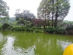 -苏州上方山国家森林公园