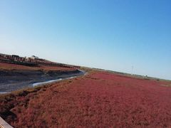 -红海滩国家风景廊道