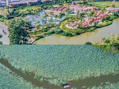 -江门古劳水乡旅游区