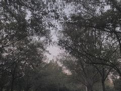 -云龙湖旅游景区