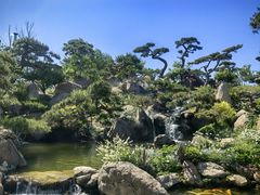 -罗红摄影艺术馆