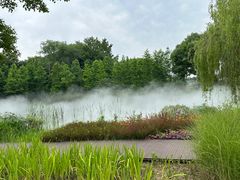 -梁鸿国家湿地公园