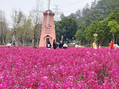 -顺峰山公园