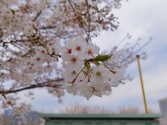 -龙美术馆(西岸馆)