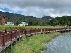 -海南热带雨林国家公园吊罗山景区