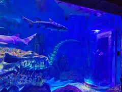 -波塞冬旅游度假区