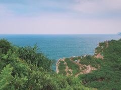 -杨梅坑
