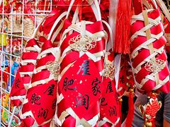 -越秀西湖花市(广州城市广场花卉店)
