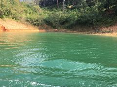 -广州市流溪河国家森林公园