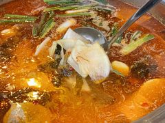 -大理.老字号渝记酸萝卜乌鱼(古城总店)