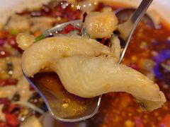 麻辣水煮乌棒鱼-鱼库·不仅是一家烤鱼店(车公庙店)