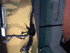 -湖南省地质博物馆