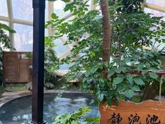 -麦积山温泉