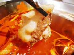 牛胸口-大龙燚火锅