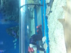 -福州罗源湾海洋世界旅游区