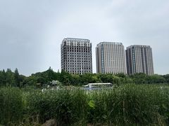 -南翔镇银翔湖公园