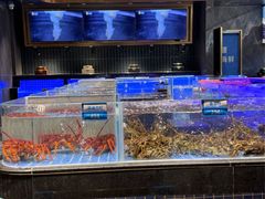 -青蓬蒸汽海鲜·深圳老字号·团建聚会(壹方城店)