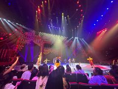 -珠海横琴长隆《卡卡虎奇遇记》