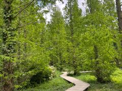 -国家植物园南园