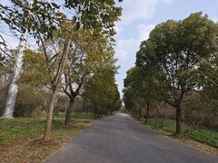 -上海海湾国家森林公园