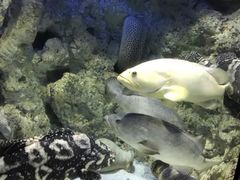 -福州罗源湾海洋世界旅游区