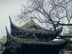 -西园戒幢律寺