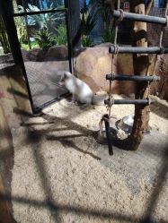 -酷嗒动物文化乐园(cutezoo西溪乐天城店)