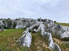 -秦岭风景区