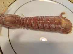 -天天赶海日日新鲜蒸汽海鲜家常菜(南戴河仙螺岛店)