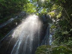 -藏龙百瀑风景区
