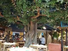 -常和州·夜宵大排档(常州单店)