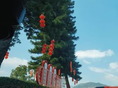 -广州市石门国家森林公园