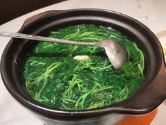 -荟廷·晶萃(陆家嘴尚悦湾店)