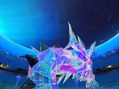 -海合安青岛极地海洋公园